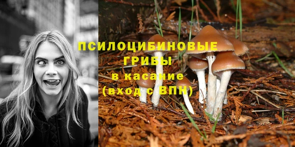 соль курить ск Пестово