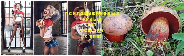 прущий лед Балахна